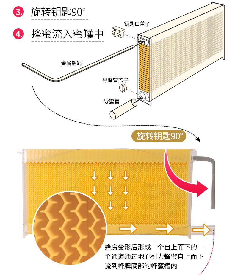 B18自留蜜蜂箱_06.jpg