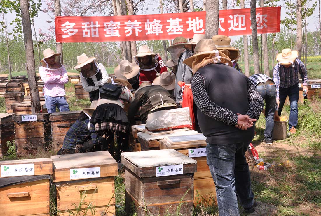 養(yǎng)蜂基地